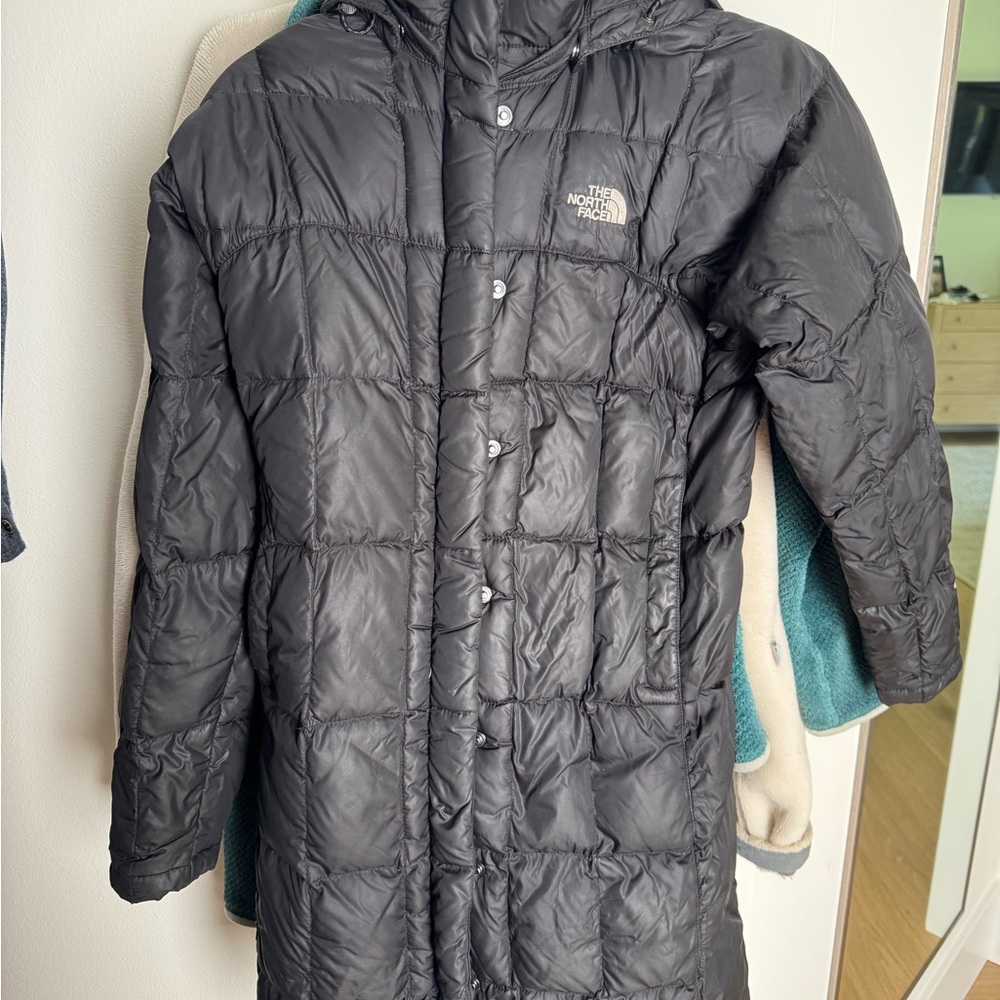 The North Face Black Insulated Puffer Coat with Hood
